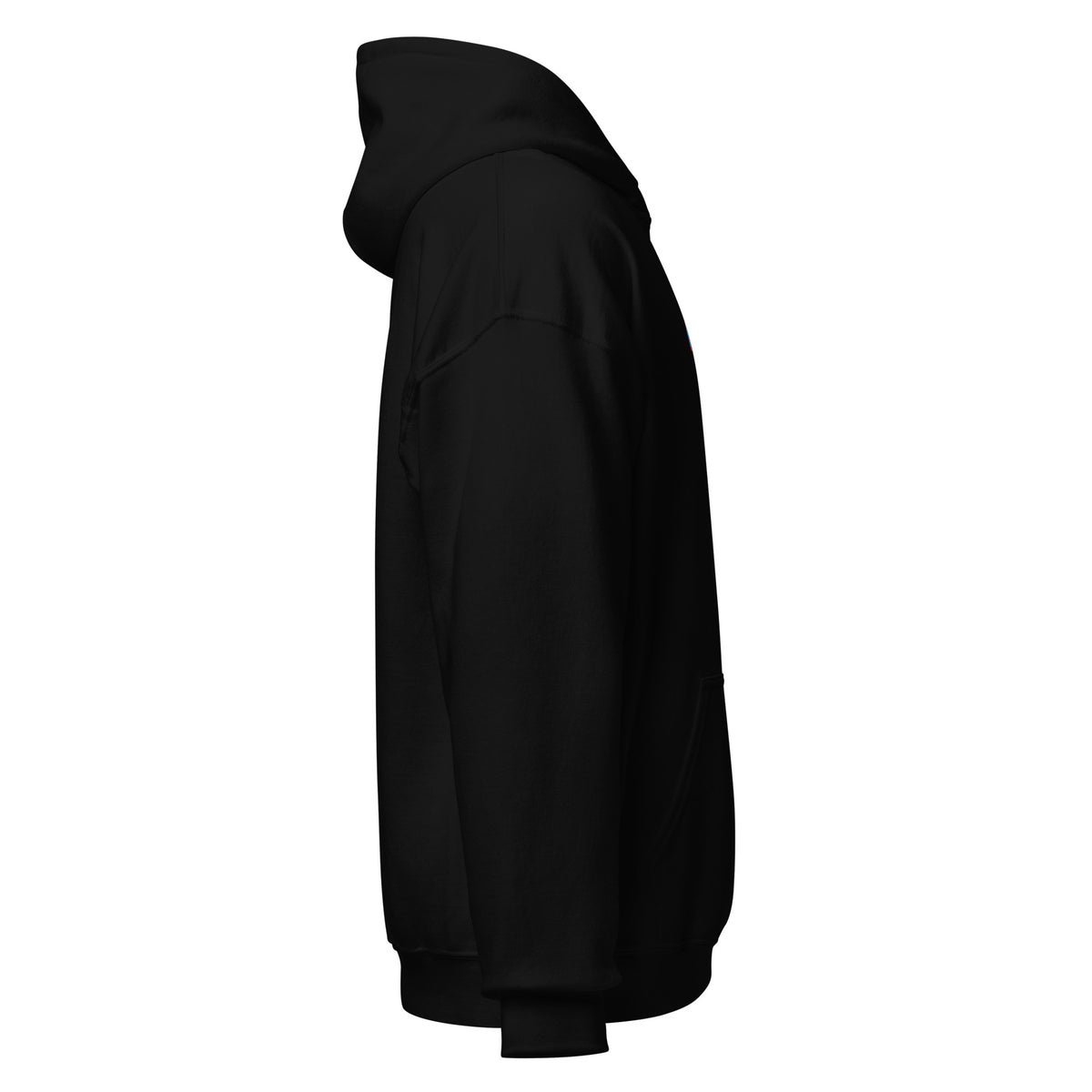 NL Hoodie in Black — right-side view